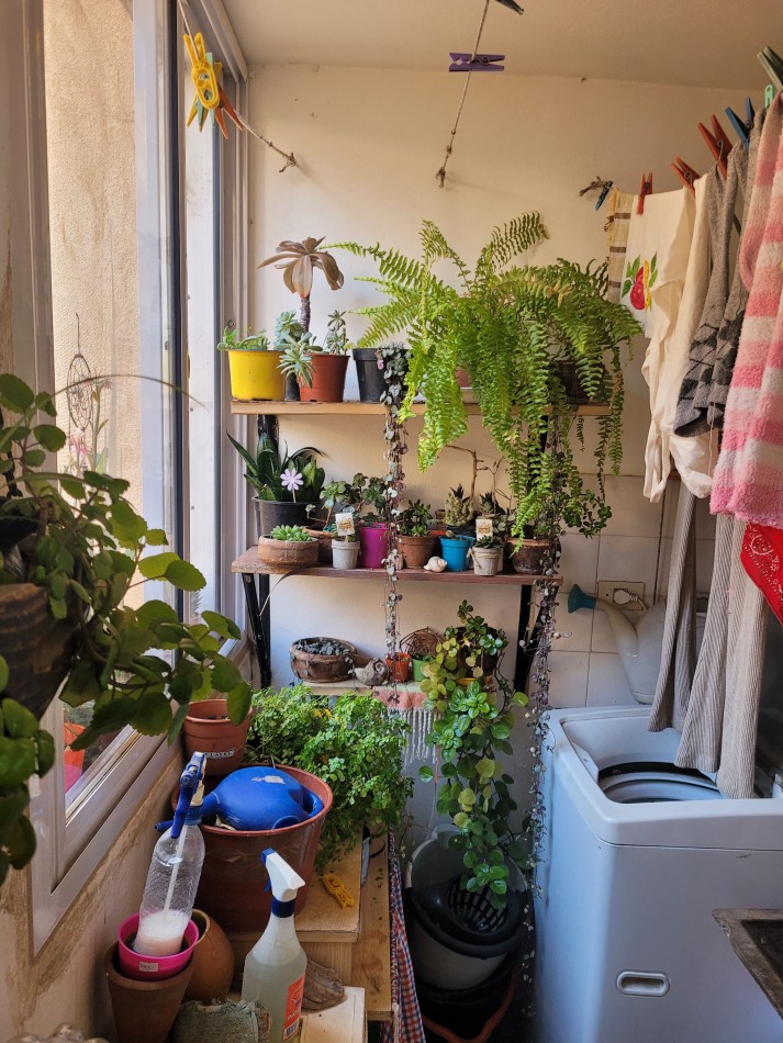 Venta departamento 3 dormitorios